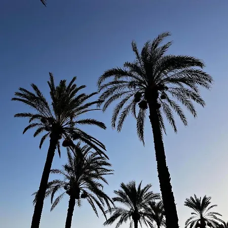 Lägenhet Costa Blanca Torrevieja